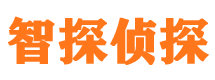 榕城市私家侦探